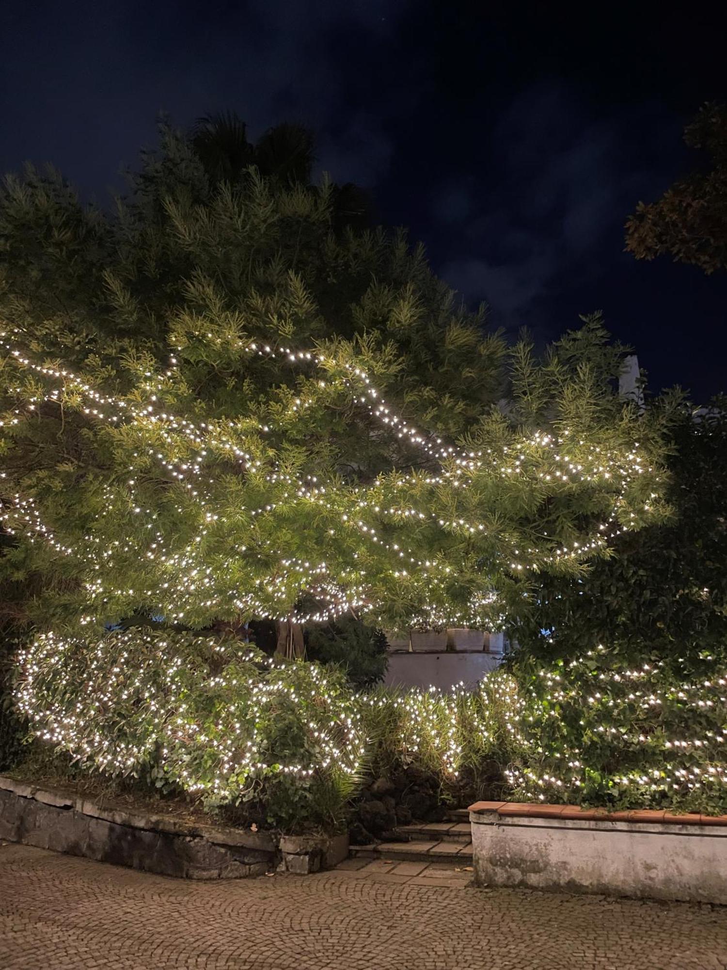 Holiday home La